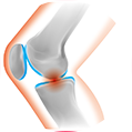 肘・膝の痛み