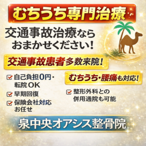 泉中央 交通事故 むちうち 症状